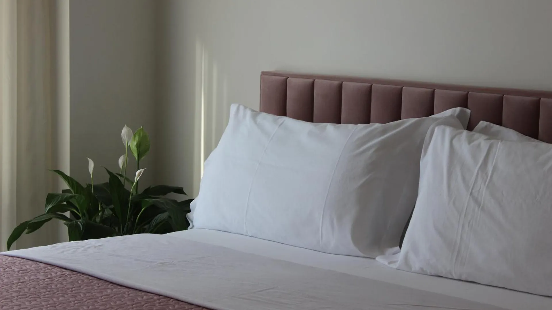 Delight Apartment Tirana Albania